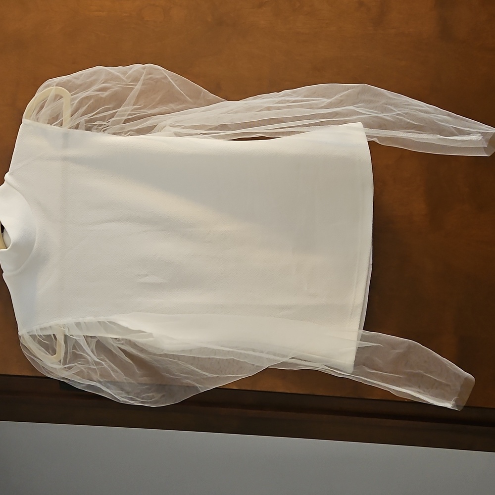 A BREATH OF FRESH AIR Zipper BACK, Chiffon Sleeves 16 Inch Pit To Pit 23 Long